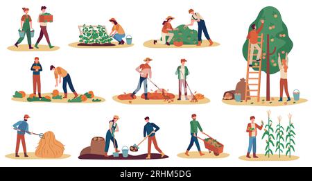 Autumn harvest. Farm workers gathering crops ripe vegetables, picking fruits and berries, remove leaves, season agriculture vector set. Man and woman Stock Vector