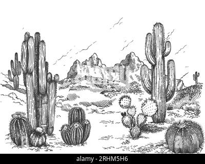 how to draw desert plant easy | cactus drawing - YouTube