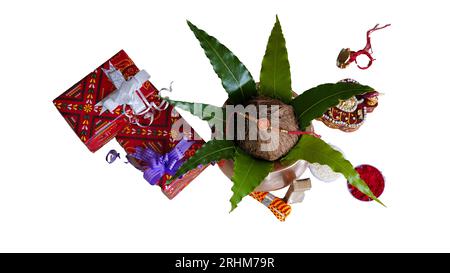 Scattered rice grains, kumkum, sweets with Cardamom, rock crystal sugar and blue gift box on white background with an elegant Rakhi Stock Photo