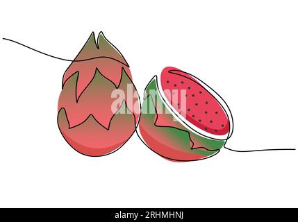 Dragon fruit continuous one line drawing, fruit vector illustration. Stock Vector