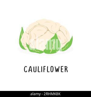 cauliflower vector flat illustration, isolated on white background Stock Vector