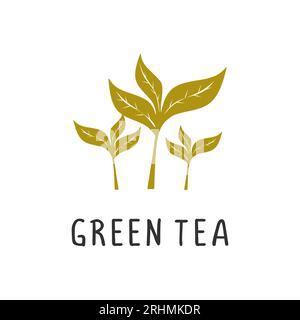 Green tea Vector illustration, flat design cartoon of antioxidant-rich green tea natural product for health and vitamins. Stock Vector