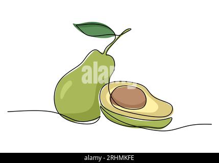 Avocado continuous one line drawing, fruit vector illustration. Stock Vector