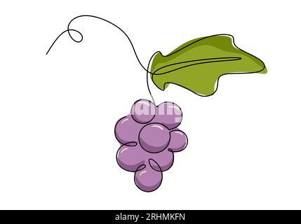 Drawing of a grapes, HD | Stock Video | Pond5