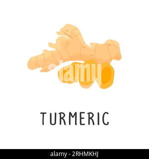 Turmeric Vector illustration, flat design cartoon of spice turmeric natural product for health and vitamins. Stock Vector
