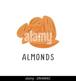 Almonds Vector illustration, flat design cartoon of nutty almonds natural product for health and vitamins. Stock Vector