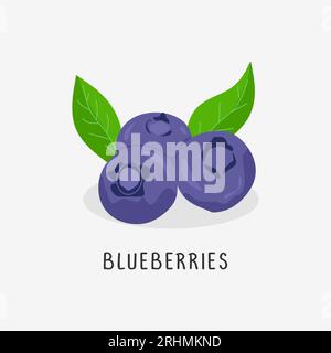 blueberries vector flat illustration, isolated on white background Stock Vector