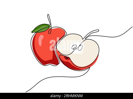 Apple continuous one line drawing, fruit vector illustration. Stock Vector