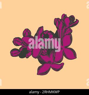 Hand drawn flower botanical drawing of lilac isolated on bright background. Stock Vector