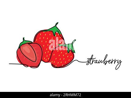 Strawberry continuous one line drawing, fruit vector illustration. Stock Vector