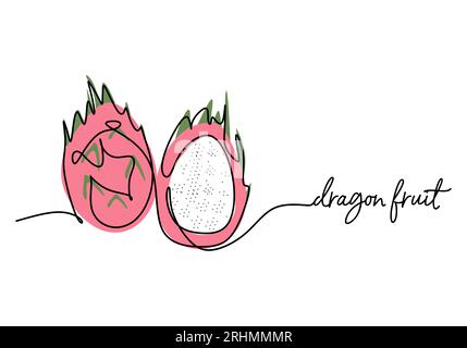Dragon fruit continuous one line drawing, fruit vector illustration. Stock Vector