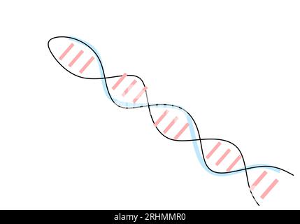 One continuous single line drawing of dna isolated on white background. Stock Vector
