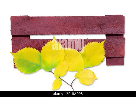 Old burgundy bulletin boards with yellow leaves. Wooden plaque, hanging textured panel, signboard with nails on isolated white background. Copy space Stock Photo