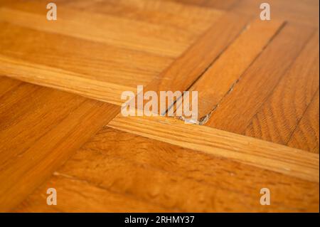 Old damaged parquet with loose strips (strip parquet) before reconditioning and re-sanding. Stock Photo