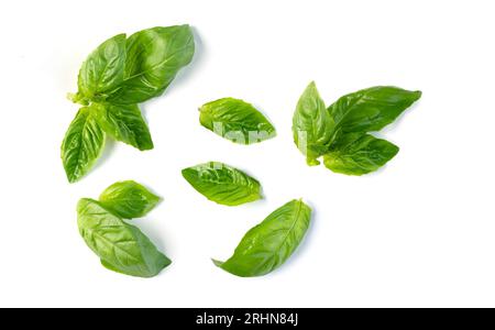 Fresh basil leaves isolated on white background. Top view. Flat lay Stock Photo