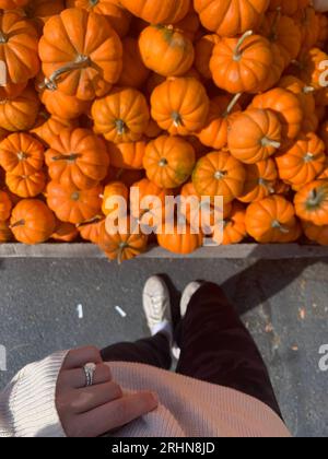 POV Standing in front of Small Pumpkins Stock Photo