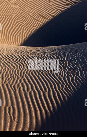 Detail of patterns and shadows on sand dunes vertical Stock Photo