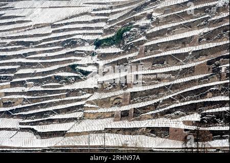 View at steep vineyard covered with snow in winter at the river Moesel, Germany. Stock Photo