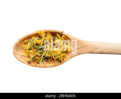 Dried Hypericum perforatum known as perforate St John's-wort plant flowers and leaf on wood spoon isolated on white background. Herbal medicine concep Stock Photo