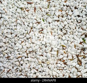 Snow-white stones on the seashore. Suitable for background. Stock Photo