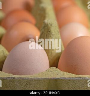 Brown and white chicken eggs in the packaging Stock Photo