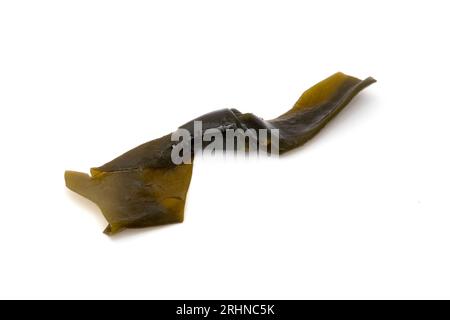 Preserved Kelp Knot on a white background Stock Photo