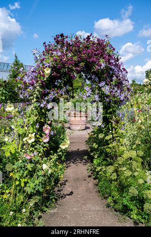 The cottage garden at RHS Hyde Hall, featuring an arch smothered with a flowering clematis. Stock Photo