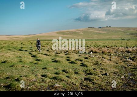 A middle aged woman enjoys a walk on Dartmoor National Park in good spring weather in April Stock Photo