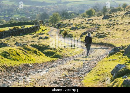 A middle aged woman enjoys a walk on Dartmoor National Park in good spring weather in April Stock Photo