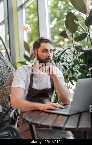 focused barista in apron using laptop while sitting and working near plants in coffee shop Stock Photo