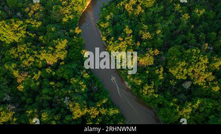 River of the Peruvian Amazon that has floodplain forests on the sides, jungle full of wildlife in the Peruvian Amazon Stock Photo