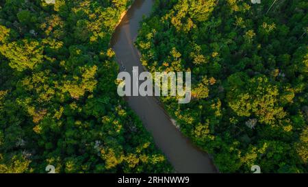 River of the Peruvian Amazon that has floodplain forests on the sides, jungle full of wildlife in the Peruvian Amazon Stock Photo