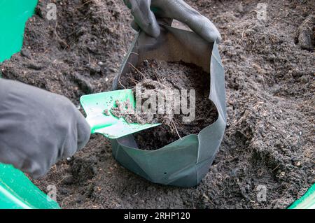 Farmers are packing potting soil into seeding bags. Stock Photo