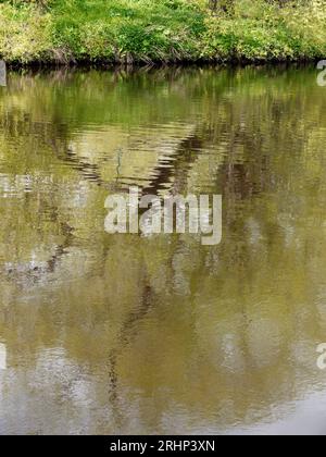 The river Tees at Yarm neat Stockton on Tees, Teesside, England, UK Stock Photo