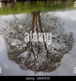 The river Tees at Yarm neat Stockton on Tees, Teesside, England, UK Stock Photo