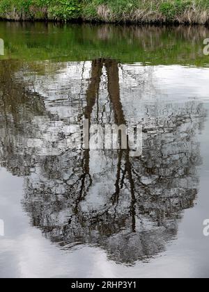 The river Tees at Yarm neat Stockton on Tees, Teesside, England, UK Stock Photo