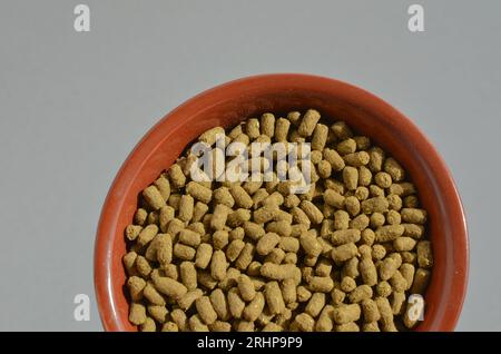 Pet food, special food for pet rodents, transmitting food care and well-being to your furry friend. Nutritious and balanced food for pet rodents, prov Stock Photo