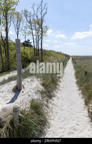 Germany, Baltic Sea, Markgrafenheide, white beach path, summer day ...