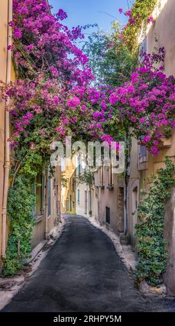 Village street in Bages. The commune is located in the Regional Natural Park Narbonnaise en Méditerranée. Stock Photo