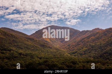 Late morning light on the slopes of Mt. LeConte. Stock Photo