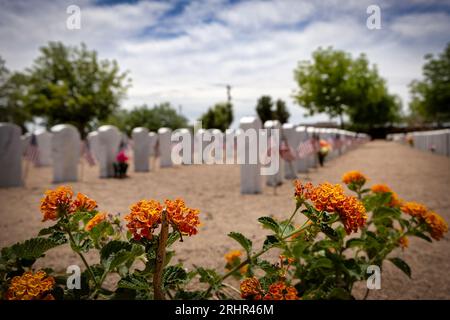 Flowers in full bloom at Fort Bliss National Cemetery on Memorial Day 2023. Stock Photo