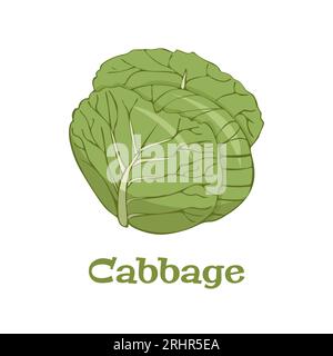 Cabbage icon in flat style. Isolated object. Cabbage logo. Organic ...