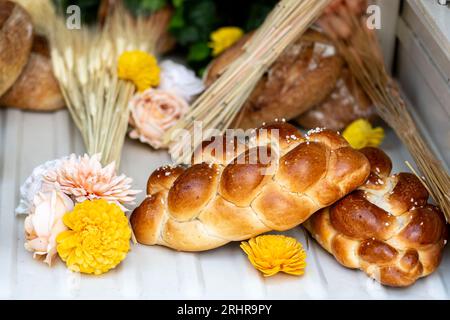 Freshly baked sweet braided sourdough bread loaf. Traditional Easter bread (Challah or Cozonac). Stock Photo