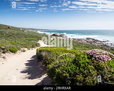 The sandy Cape to Cape track follows the Indian Ocean coast north of Gracetown, Leeuwin-Naturaliste National Park, Western Australia Stock Photo