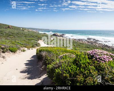 The sandy Cape to Cape track follows the Indian Ocean coast north of Gracetown, Leeuwin-Naturaliste National Park, Western Australia Stock Photo