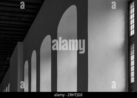 Black and white tone, Interior diminishing perspective, row of vertical columns and arch frame windows along corridor or hallway of vintage european b Stock Photo