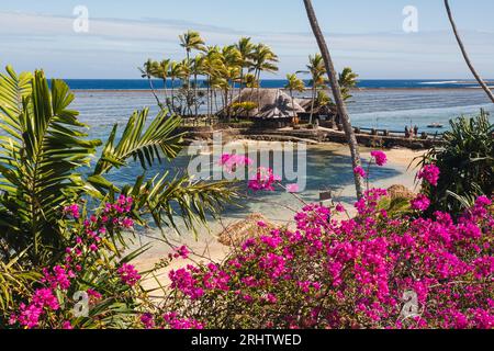 Wicked Wall restaurant and flowers at the Warwick resort, Fiji. Stock Photo