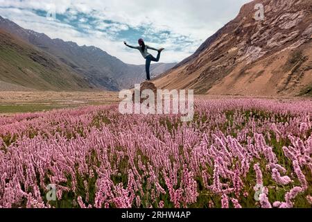 Surrounded by Himalayan bistort wildflowers in the beautiful Warwan Valley, Pir Panjal Range, Kashmir, India Stock Photo