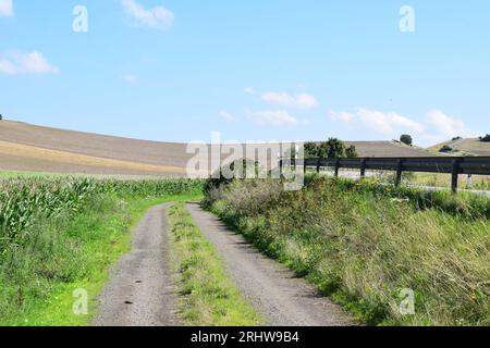 dirt road next to a corn field and main road Stock Photo