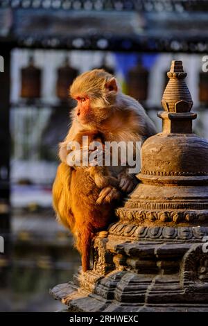 Ancient Buddhist Swayambhunath stupa also called the Monkey temple on ...